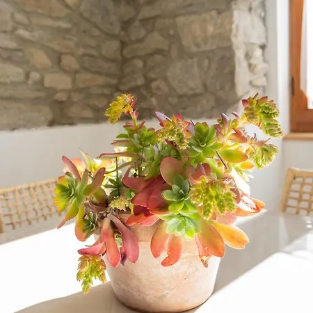 La Cascina Dei Ciliegi *