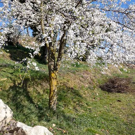 La Cascina Dei Ciliegi דירה ארונה