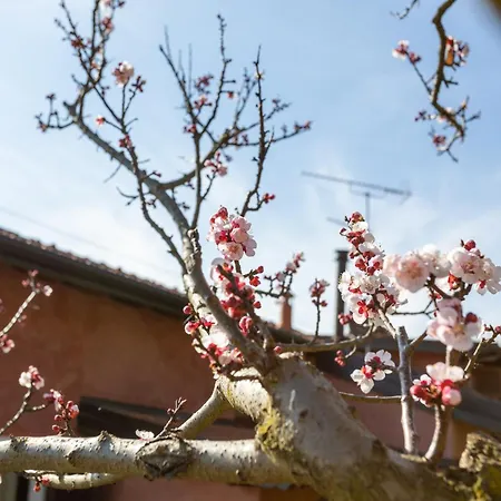 La Cascina Dei Ciliegi דירה