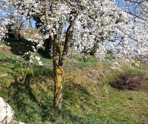 La Cascina Dei Ciliegi דירה ארונה